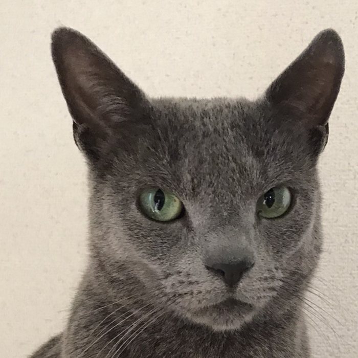 マロン